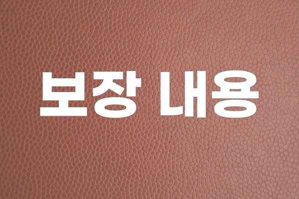 보장 내용