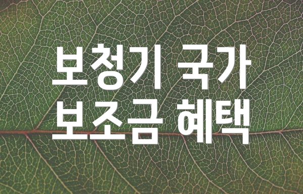 보청기 국가 보조금 혜택