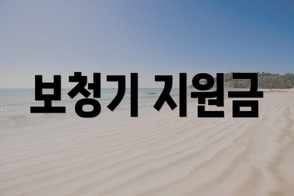 보청기 지원금