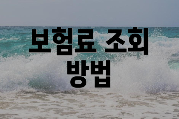 보험료 조회 방법