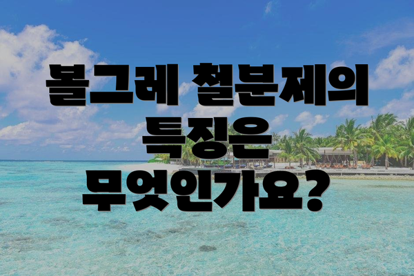 볼그레 철분제의 특징은 무엇인가요?