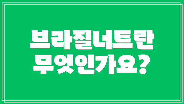 브라질너트란 무엇인가요?