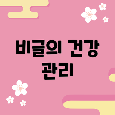비글의 건강 관리