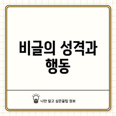 비글의 성격과 행동