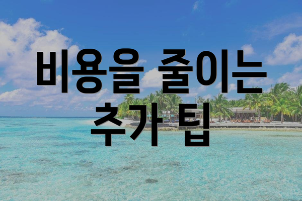 비용을 줄이는 추가 팁