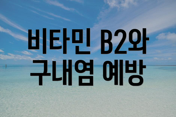 비타민 B2와 구내염 예방