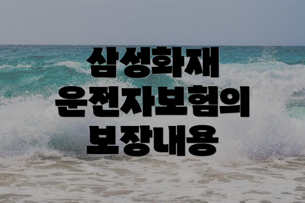 삼성화재 운전자보험의 보장내용