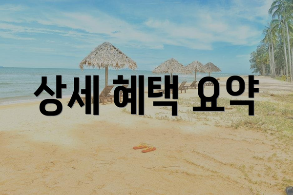 상세 혜택 요약