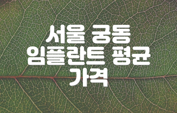 서울 궁동 임플란트 평균 가격