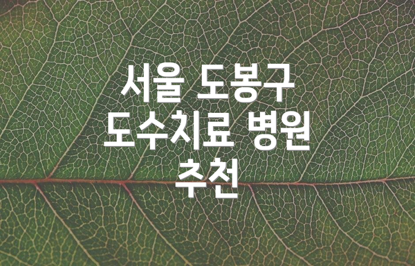 서울 도봉구 도수치료 병원 추천