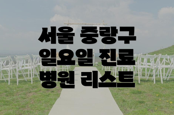 서울 중랑구 일요일 진료 병원 리스트