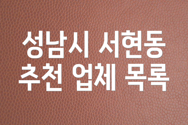 성남시 서현동 추천 업체 목록