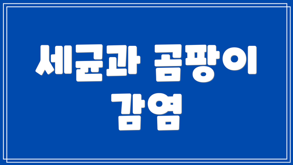 세균과 곰팡이 감염