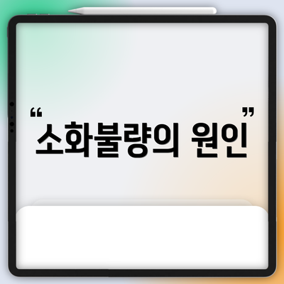 소화불량의 원인