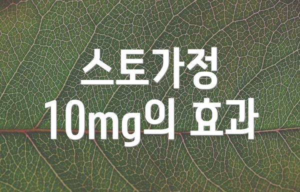 스토가정 10mg의 효과