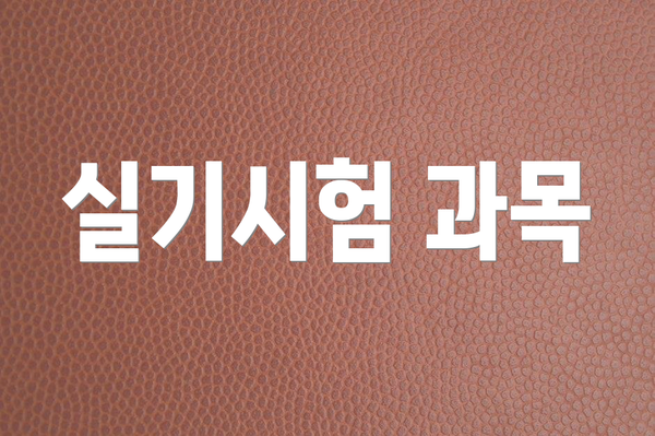 실기시험 과목