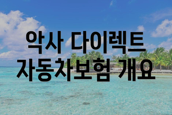 악사 다이렉트 자동차보험 개요