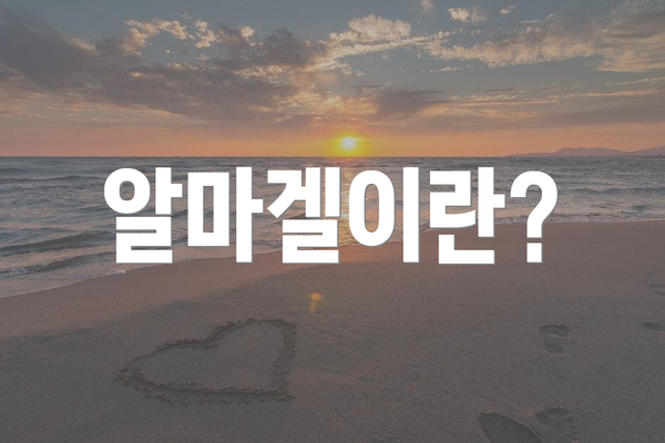 알마겔이란?