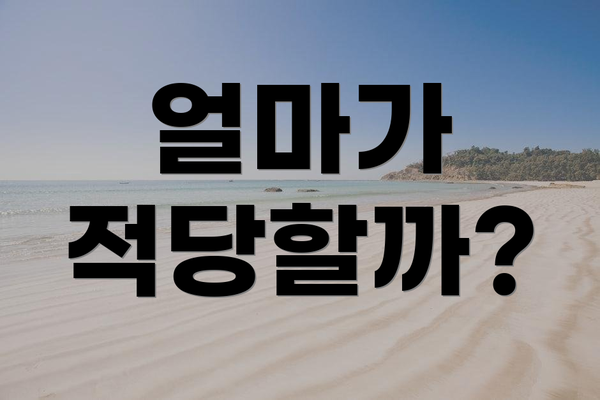 얼마가 적당할까?