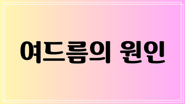 여드름의 원인
