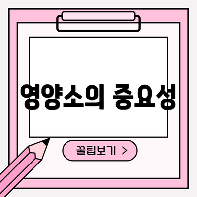 영양소의 중요성