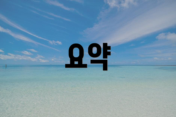 요약