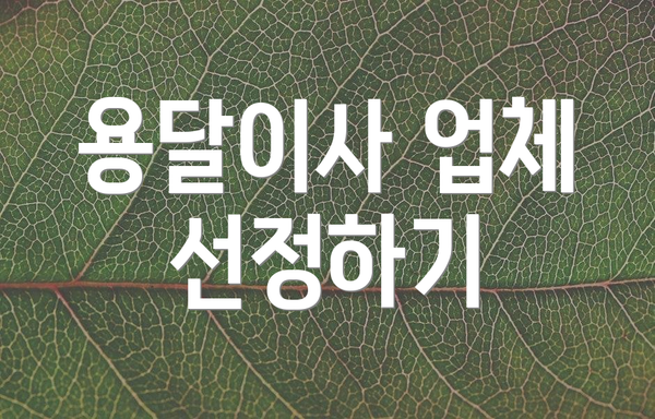 용달이사 업체 선정하기