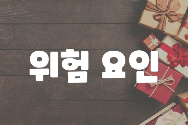 위험 요인