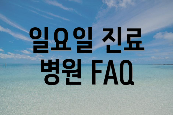 일요일 진료 병원 FAQ
