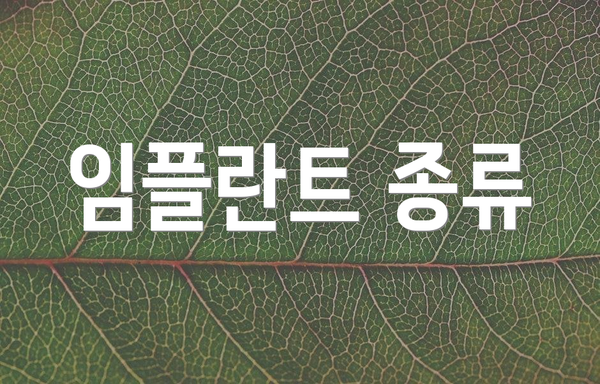 임플란트 종류