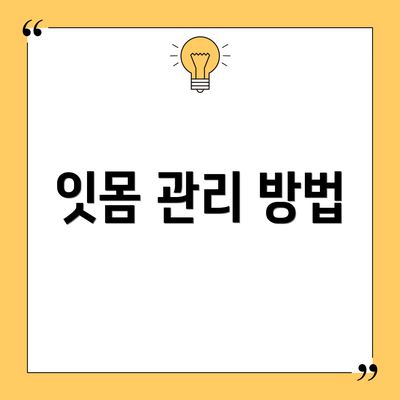 잇몸 관리 방법