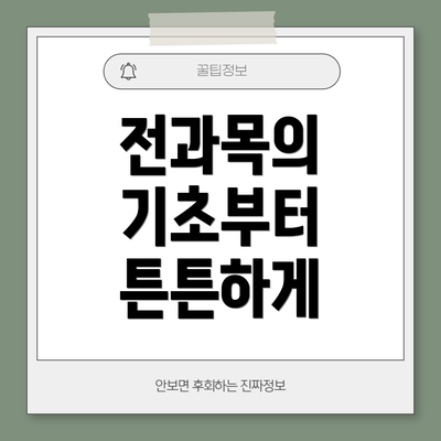 전과목의 기초부터 튼튼하게
