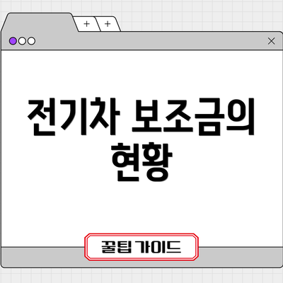 전기차 보조금의 현황