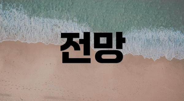 전망
