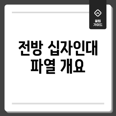 전방 십자인대 파열 개요