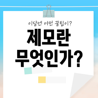 제모란 무엇인가?