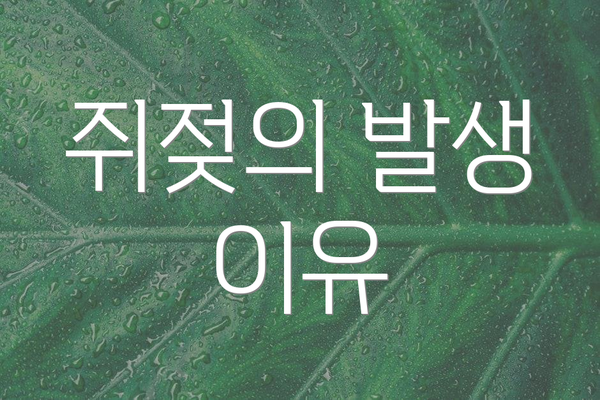 쥐젖의 발생 이유