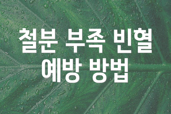 철분 부족 빈혈 예방 방법