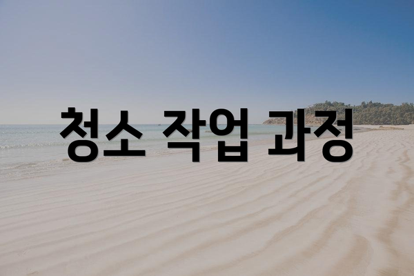 청소 작업 과정