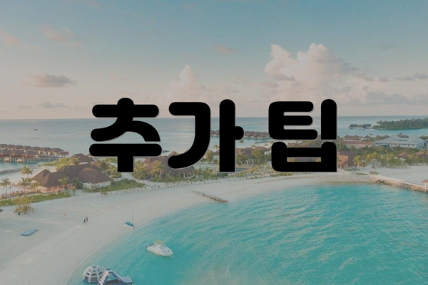 추가 팁