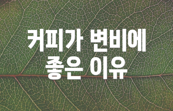 커피가 변비에 좋은 이유