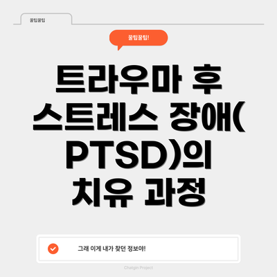트라우마 후 스트레스 장애(PTSD)의 치유 과정