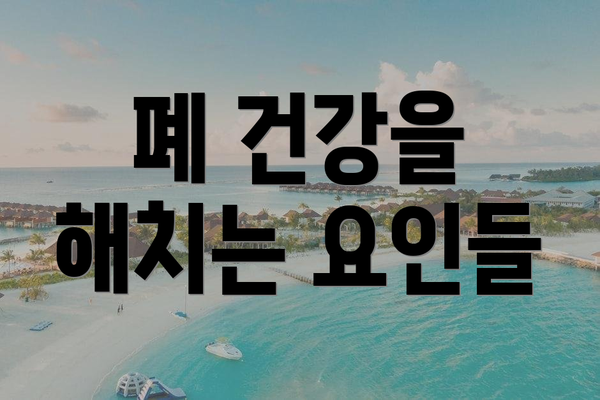 폐 건강을 해치는 요인들