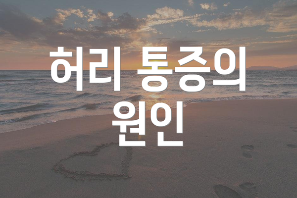 허리 통증의 원인