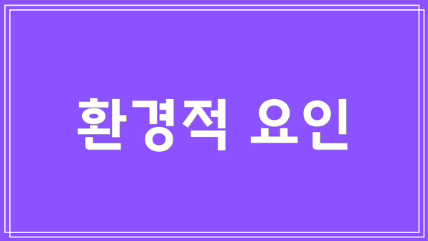 환경적 요인