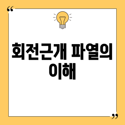 회전근개 파열의 이해