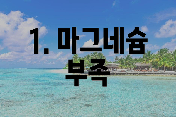 1. 마그네슘 부족