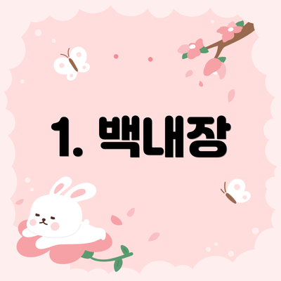 1. 백내장