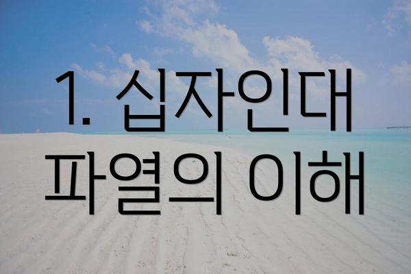 1. 십자인대 파열의 이해