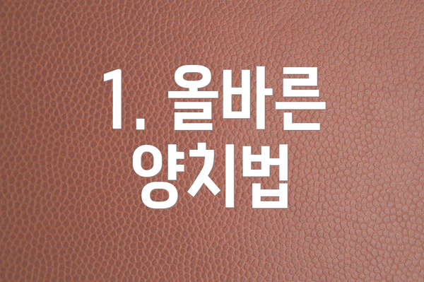 1. 올바른 양치법